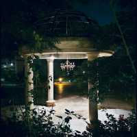 Night walks 