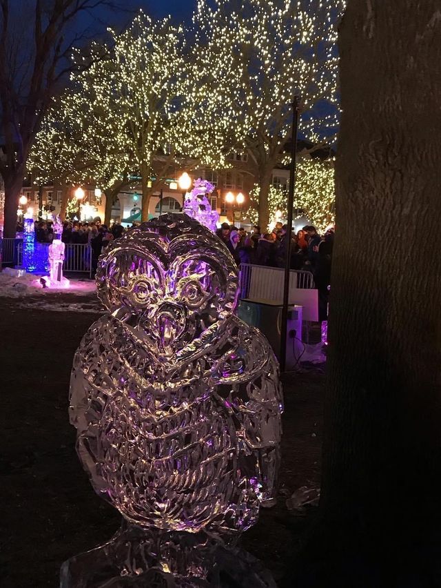 Plymouth Ice Festival- Michigan 