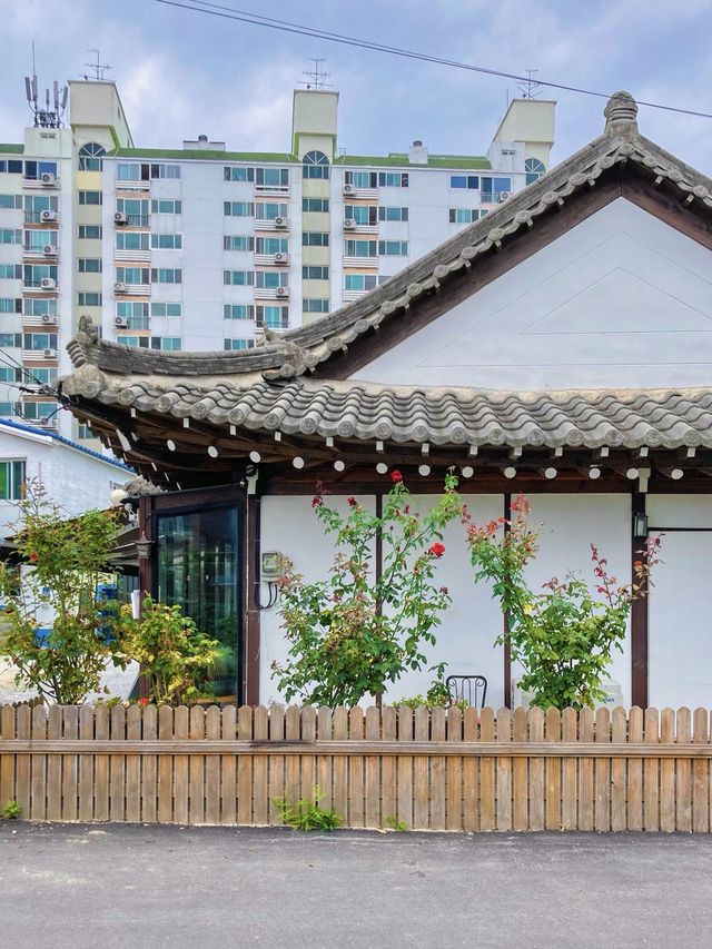 강릉 초당순두부마을 여행코스 ! 감성골목편✨