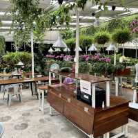 World of Phalaenopsis - Malaysia 