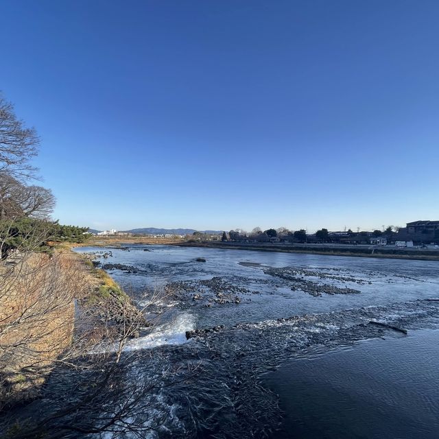 不可錯過的嵐山美景
