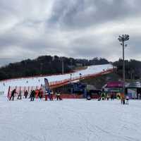 강원도 홍천 스키장🏂비발디파크 스키장