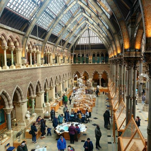 Oxford University Museum of Natural History 