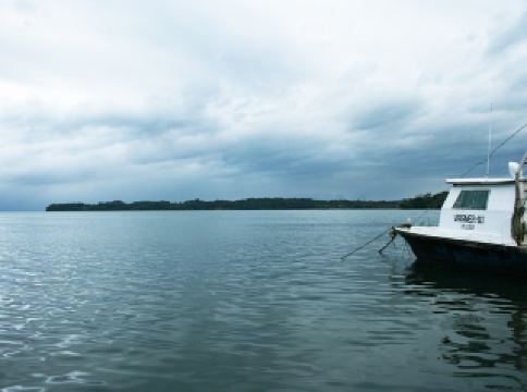 リビングストン / グアテマラ