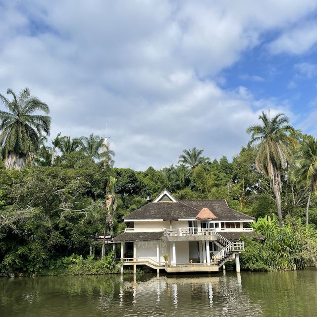 Tropical flowers garden - Xishuangbanna 