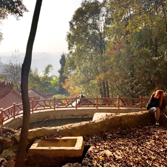 The Great Buddha temple scenic area 