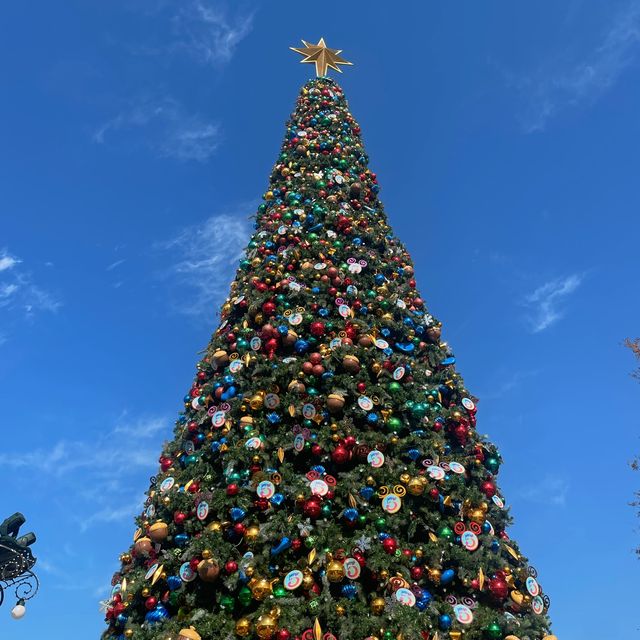 Christmas at Disneyland 🎄🎁