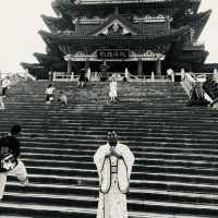 Travel to learn from other cultures 