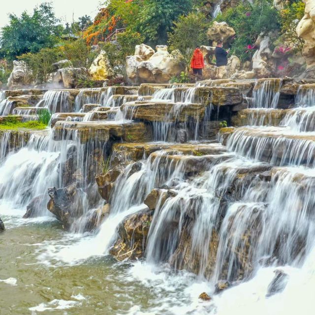 打卡嶺南鳳凰園
