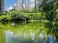 Oh so green! Yueshan Lake, Jinyang, Guiyang 