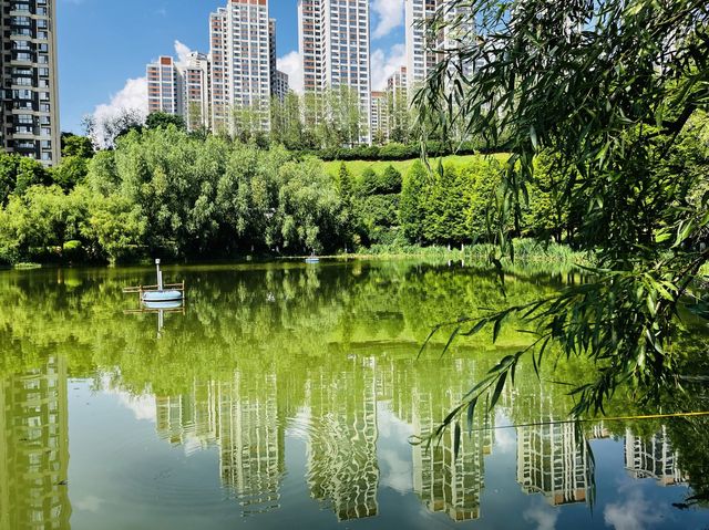 Oh so green! Yueshan Lake, Jinyang, Guiyang 