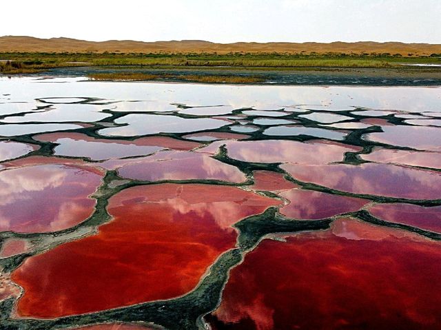 The RED LAKES of Inner Mongolian Desert ❤️❤️❤