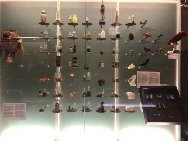 世界文化遺産葡萄牙科英布拉大學