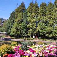 The Flower Path Garden Ruqin Lake Jiangxi