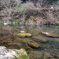 Pujiang Shenli Gorge Sciense Area