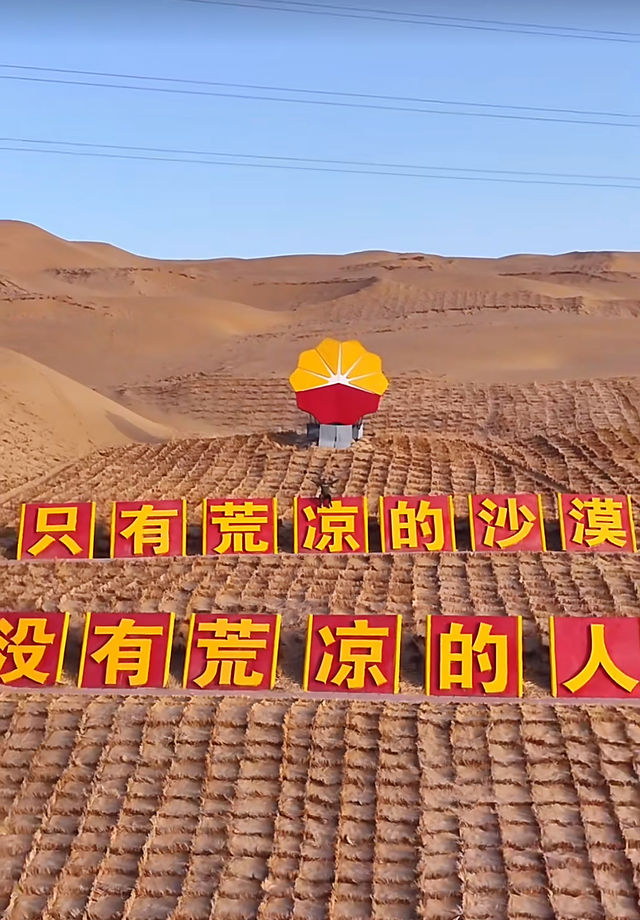 Taklamakan | Xinjiang has more than just grasslands, there are also deserts! A trip to southern Xinjiang.