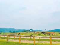 Hubei Mulan Grassland | A great place for leisure and play