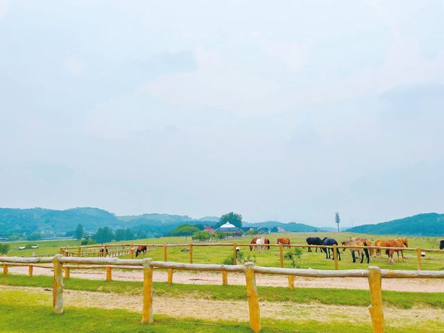 Hubei Mulan Grassland | A great place for leisure and play