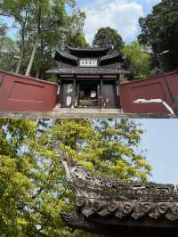 Chengdu surrounding within 1 hour｜Visit a lesser-known temple to admire Ming Dynasty murals.