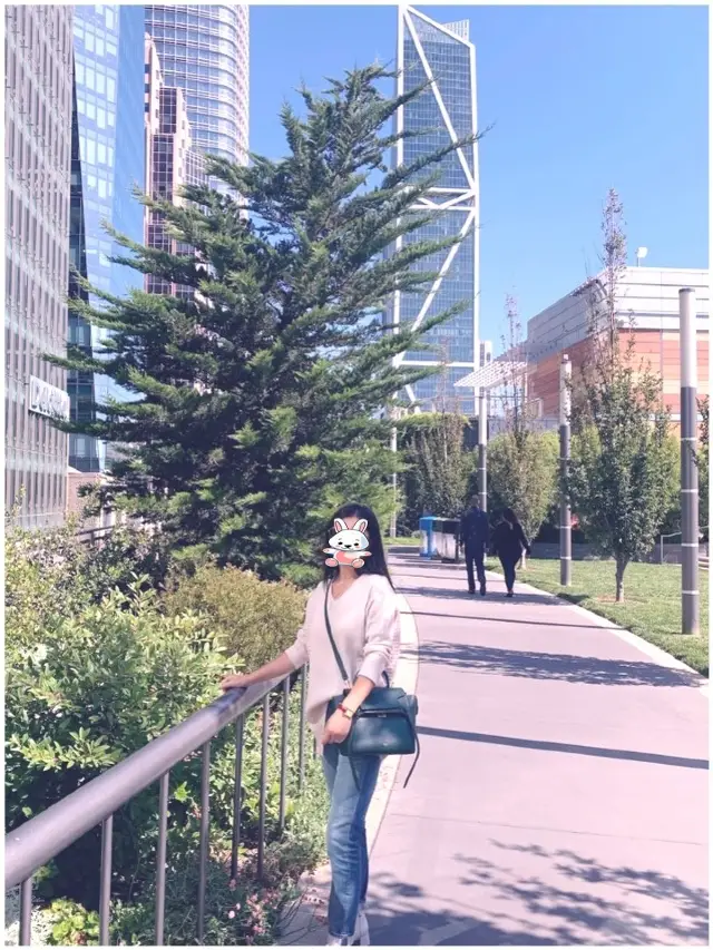 San Francisco's aerial green lung