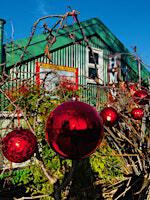 Eel Pie Island Artists Christmas Open Studios Sat 7th & Sun 8th December | Eel Pie Boatyard, Eel Pie Island, TW1 3DY