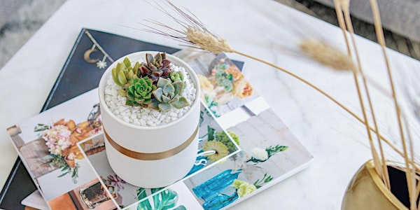 Succulent Arrangement Workshop Plants+Planter | Springer Garden Studio