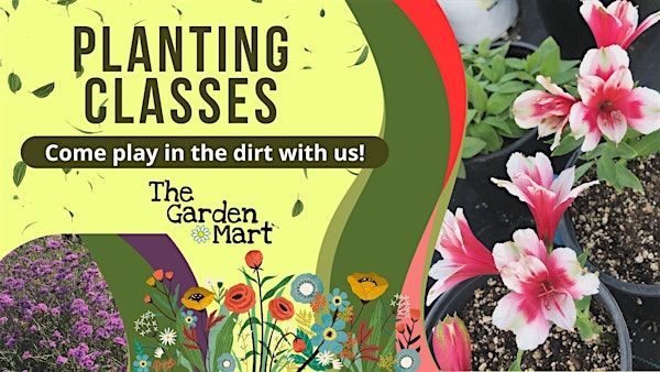 Planting Hero Plants with Dad:it's a bug eat bug world out there! | The GardenMart