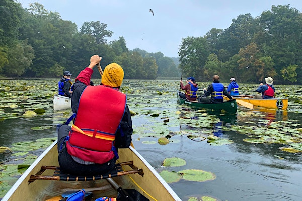 Canoe Exploration (Cootes Paradise, Hamilton, ON) | Princess Point Canoe Launch