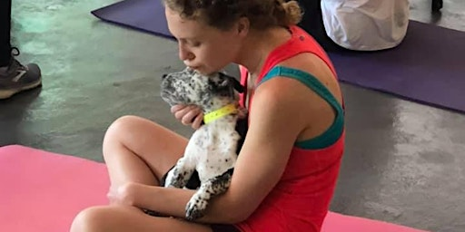 Doggy Noses & Yoga Poses at The Burn | The Burn