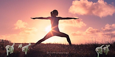 Sunset Puppy Yoga - Golden Hour with Golden Retrievers Fri Sept 25 | 1785 Witmer Rd