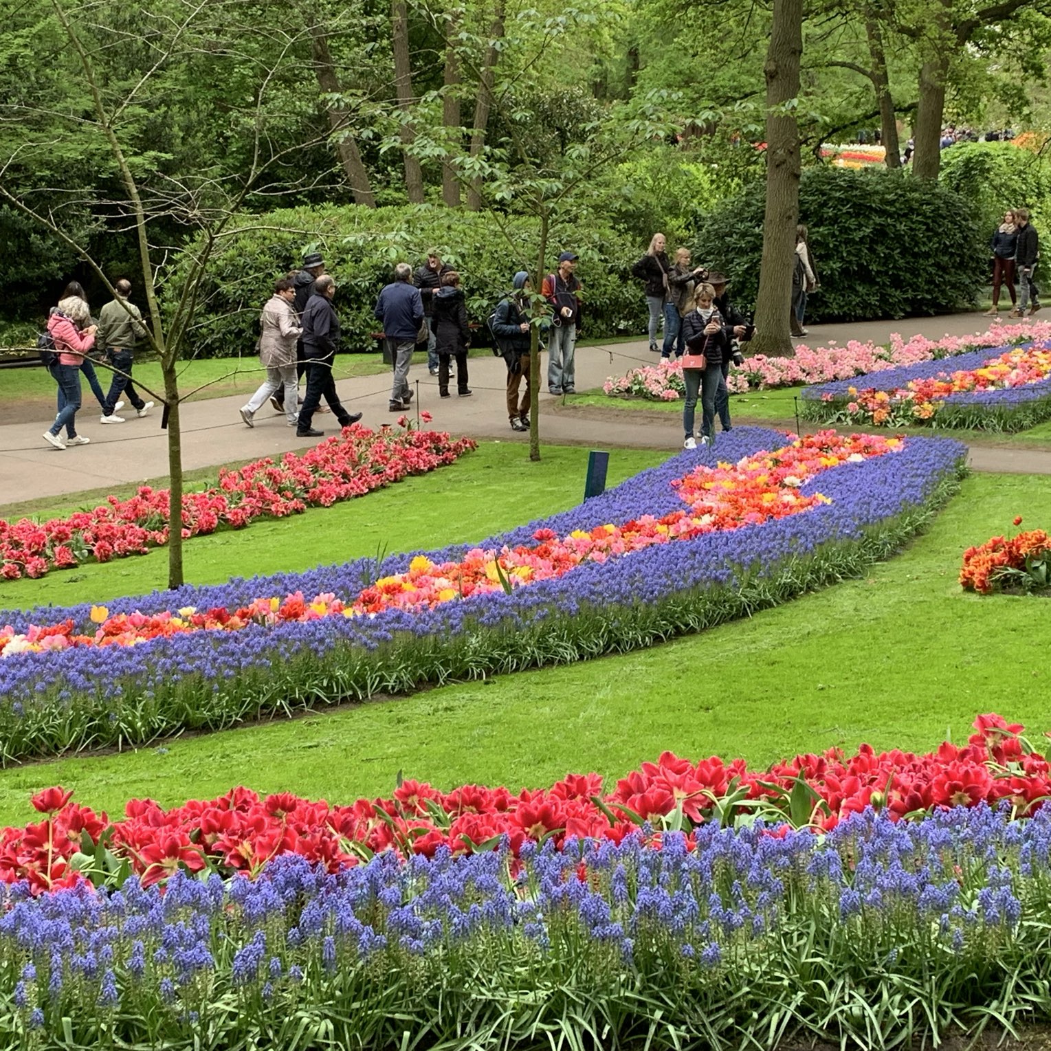 オランダ キューケンホフ公園 Trip Com リスセの旅のブログ