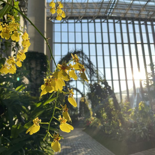 淡路島の植物散策