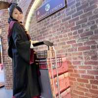 🎄Harry Potter的聖誕魔法世界✨