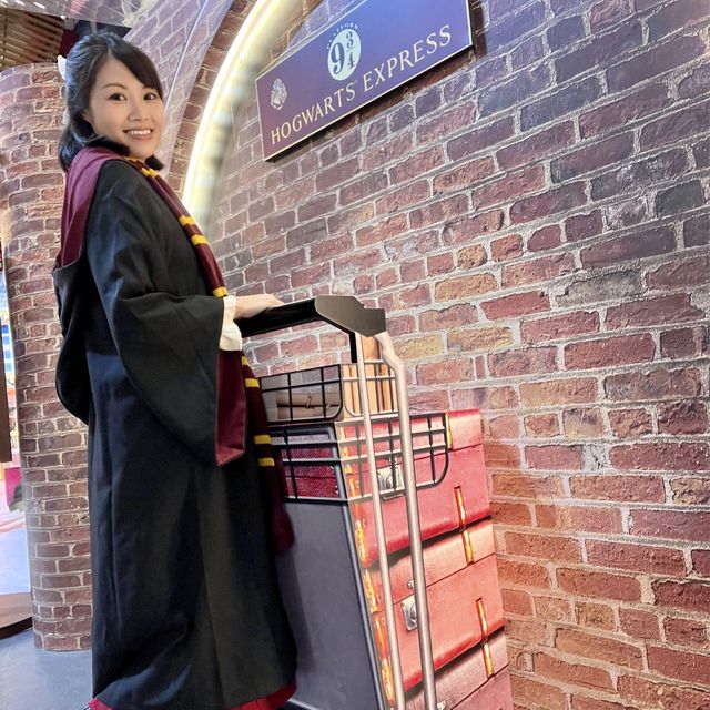 🎄Harry Potter的聖誕魔法世界✨