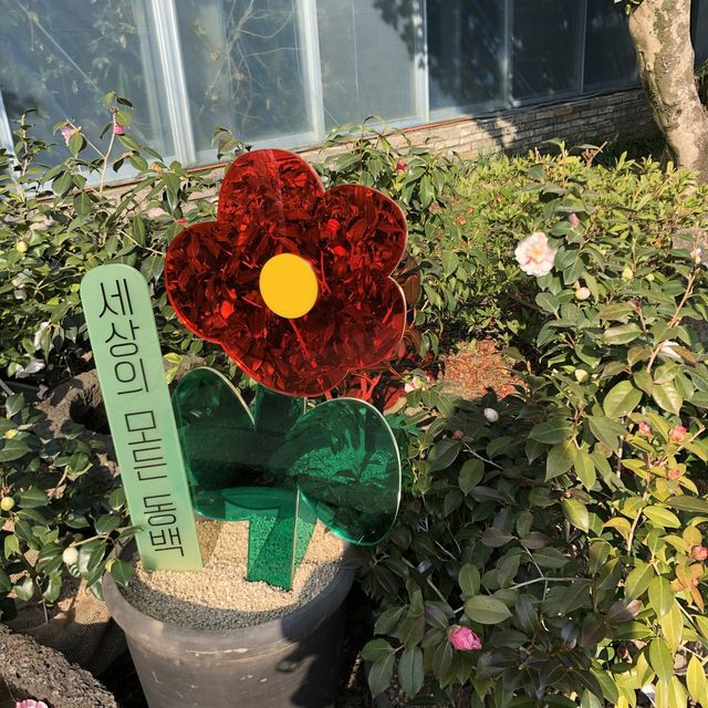 [제주도 여행] 겨울에는 동백꽃 보러🌺