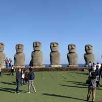 イースター島に行かなくても、モアイ像に会える🗿