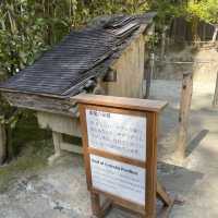 【銀閣寺】わびさびの世界観が美しい🇯🇵👘