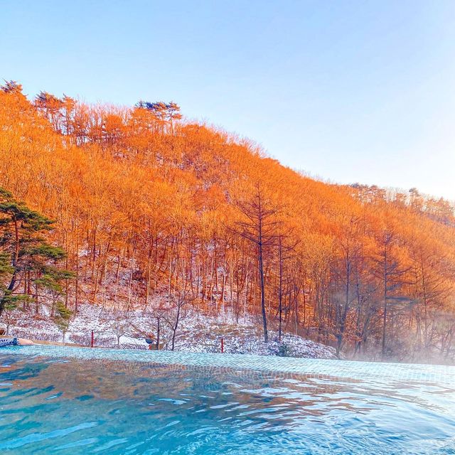 제천 대표숙소는 여기❕ 포레스트리솜