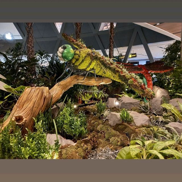 Nature Wonder @ T1 Changi