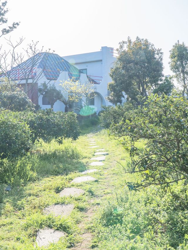 산방산을 보며 먹을 수 있는 삼거리농원, 테라스 애견동반 가능!