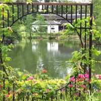 北區公園都可以影得好靚