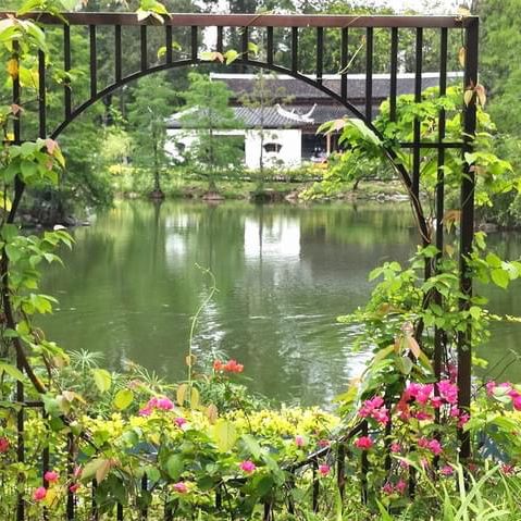 北區公園都可以影得好靚