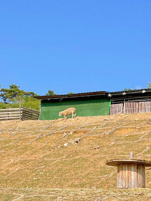 부산 봄나들이 가기 좋은 해운대 수목원 🌿