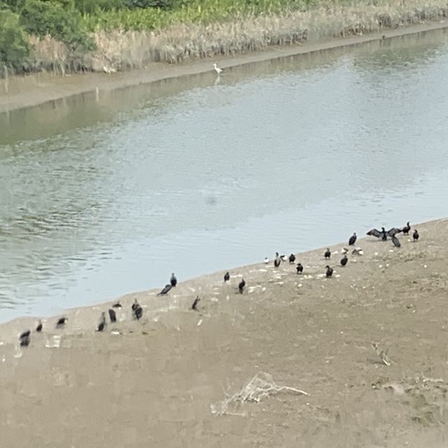 濕地公園 濕地公園