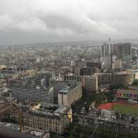 view from Eiffel Tower 