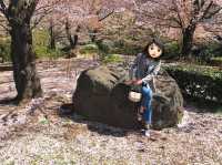 上野公園賞櫻去