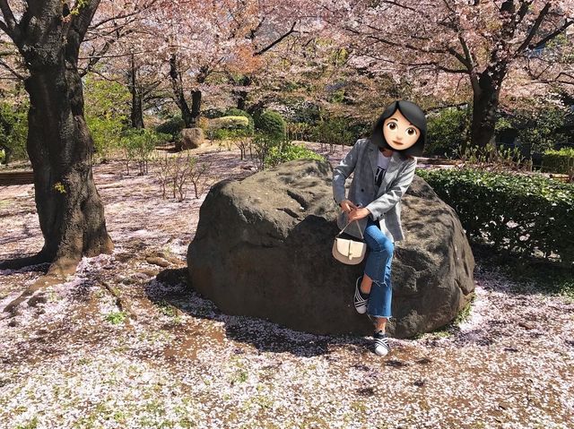 上野公園賞櫻去