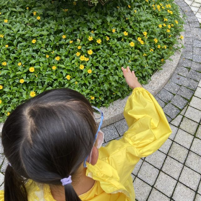 中式園林公園·兒童遊樂場📍荃灣