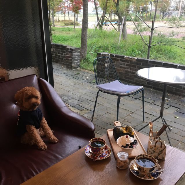 애견출입이 가능한 그래비티 카페 추천🤎