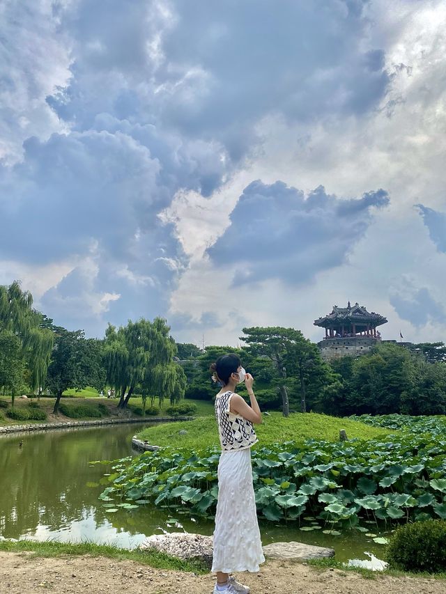 수원에서 하는 피크닉 🧺